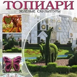 Особливості догляду за квітниками (догляду) Особливості догляду за квітниками