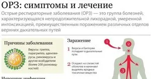 ГРЗ перші ознаки захворювання, симптоми, відміну ГРЗ від ГРВІ