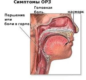ГРЗ перші ознаки захворювання, симптоми, відміну ГРЗ від ГРВІ