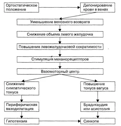 Ортостатичнагіпотензія що це, причини, симптоми, лікування, діагностика, профілактика (лікування) Ортостатичнагіпотензія що це причини, симптоми, лікування, діагностика, профілактика