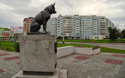 Пам'ятник відданості в Дніпродзержинськ опис, історія і цікаві факти (Тольятті) Пам'ятник відданості в Дніпродзержинськ опис, історія і цікаві факти