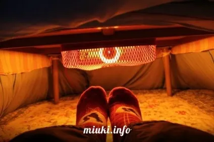 Опалення житла по-японськи і як японці гріються взимку, miuki mikado • віртуальна японія (житла) Опалення житла по-японськи і як японці гріються взимку, miuki mikado • віртуальна японія