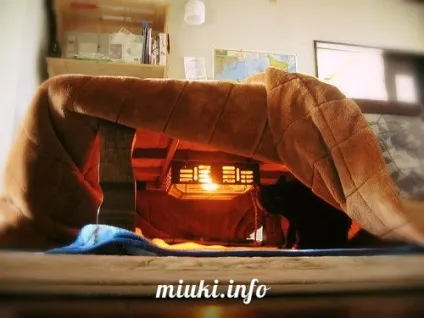 Опалення житла по-японськи і як японці гріються взимку, miuki mikado • віртуальна японія (великим стебнованим ковдрою Поверх) Опалення житла по-японськи і як японці гріються взимку, miuki mikado • віртуальна японія