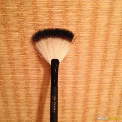 Відгук про віялова кисть для пудри - oriflame зручна, дата відкликання 2013-12-17 23 24 21 (кисть) Відгук про віялова кисть для пудри - oriflame зручна, дата відкликання 2013-12-17 23 24 21