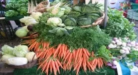 Печінка минтая, користь і шкода для здоров'я (шкода) Печінка минтая, користь і шкода для здоров'я