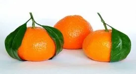 Печінка минтая, користь і шкода для здоров'я (користь) Печінка минтая, користь і шкода для здоров'я