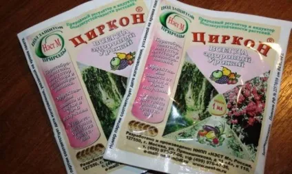 Парша картоплі методи боротьби фото опис і лікування (методи) Парша картоплі методи боротьби, фото, опис і лікування