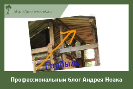 Переробка обапола як роблять гроші вУкаіни (обапола) Переробка обапола як роблять гроші вУкаіни