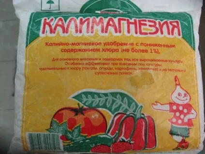 Парша картоплі методи боротьби фото опис і лікування (методи) Парша картоплі методи боротьби, фото, опис і лікування
