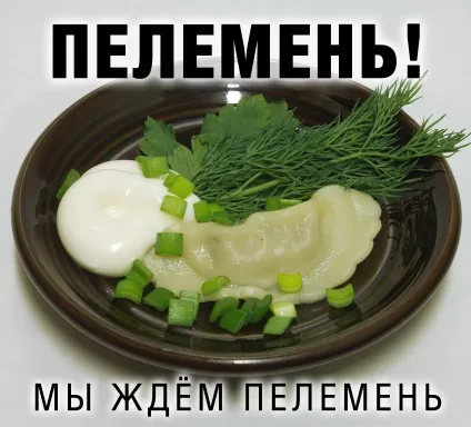 Пельмені в пароварці - особливості застосування сучасних технічних засобів (пельмені) Пельмені в пароварці - особливості застосування сучасних технічних засобів