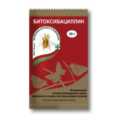Павутина на яблуні, на листках яблуні - що це, як боротися навесні, влітку, ніж обробити (боротися) Павутина на яблуні, на листках яблуні - що це, як боротися навесні, влітку, ніж обробити