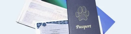 Перевезення тварин в літаку аерофлот (тваринних) Перевезення тварин в літаку аерофлот