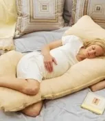 Вагітність по тижнях - як розвивається ваш малюк (розвивається) Вагітність по тижнях - як розвивається ваш малюк