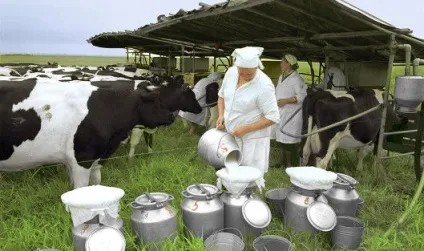Бесіда з дітьми старшої групи «домашні тварини