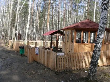 Альтанки в Запоріжжі (дрова мінімум години) Альтанки в Запоріжжі