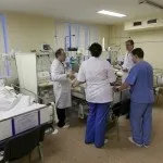 пагони чорниці