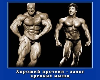 Плюси і мінуси протеїну