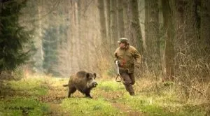 Чому чоловіки перестають дзвонити, починають хамити і збігають (чоловіки) Чому чоловіки перестають дзвонити, починають хамити і збігають