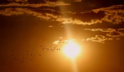 Чому сонце жовте