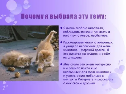 Чому я вибрала цю тему