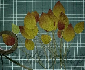 Докладний майстер-клас фіалки з кришталевої паперу (фіалки) Докладний майстер-клас фіалки з кришталевої паперу