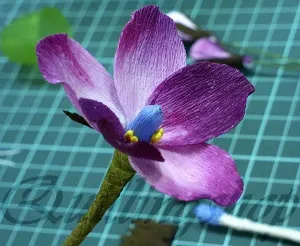 Докладний майстер-клас фіалки з кришталевої паперу (фіалки) Докладний майстер-клас фіалки з кришталевої паперу