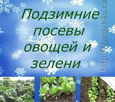 Подзимний посів овочів і зелені для раннього врожаю