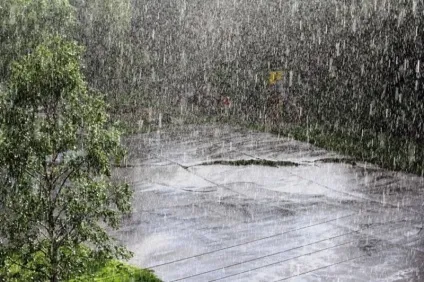 Погода не зійшла з розуму (зійшла) Погода не зійшла з розуму
