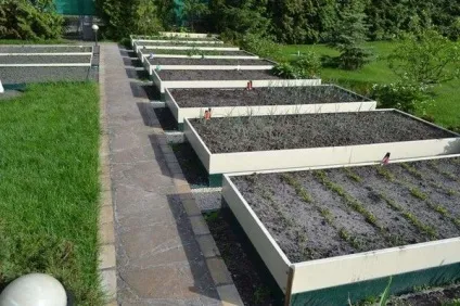 Підготовка грядок навесні як підвищити врожайність (підготовка) Підготовка грядок навесні як підвищити врожайність
