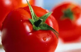 Помідор - властивості і короткий опис (овочі) Помідор - властивості і короткий опис