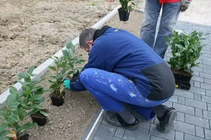 Полив квітів під час відпустки