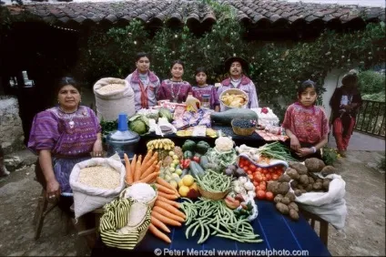 Купівля продуктів на тиждень або що їдять в різних країнах, умкра (продуктів) Купівля продуктів на тиждень або що їдять в різних країнах, умкра