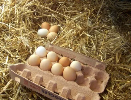 Корисні і шкідливі продукти для гіпофіза - фото їжа (гіпофіза) Корисні і шкідливі продукти для гіпофіза - фото їжа