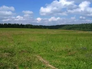 Порядок приватизації земельної ділянки знаходиться в оренді (земельного) Порядок приватизації земельної ділянки знаходиться в оренді