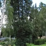Правильний догляд за квітником, створюємо гарний сад (догляд за садом) Правильний догляд за квітником, створюємо гарний сад