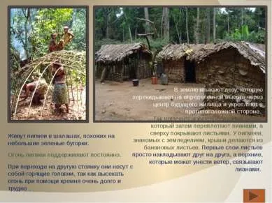 Презентація - населення і народи Африки - завантажити безкоштовно (презентація на тему населення і народи Африки) Презентація - населення і народи Африки - завантажити безкоштовно
