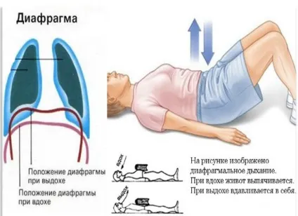Правильне дихання як правильно дихати (правильно) Правильне дихання як правильно дихати