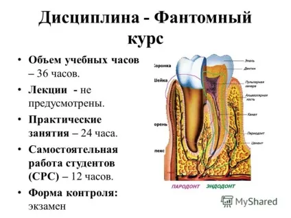 Презентація на тему фантомний курс терапевтичної стоматології - елективний курс модуль (елективний) Презентація на тему фантомний курс терапевтичної стоматології - елективний курс модуль