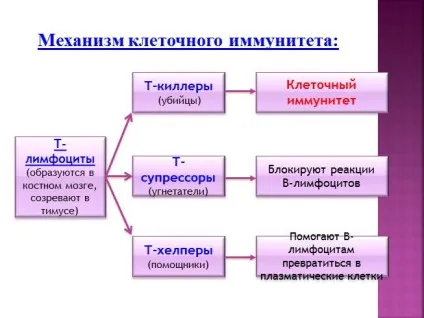 Презентація «боротьба організму з інфекцією (організму) Презентація «боротьба організму з інфекцією