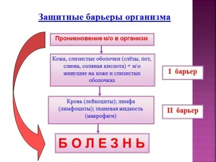 Презентація «боротьба організму з інфекцією (боротьба) Презентація «боротьба організму з інфекцією
