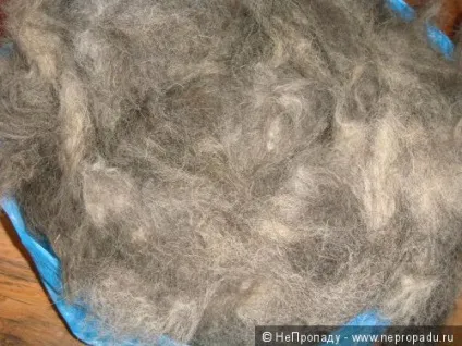 Пояс з собачої шерсті (собачої) Пояс з собачої шерсті