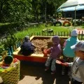 Презентація «огляд статті про ФГТ» (школи) Презентація «огляд статті про ФГТ»