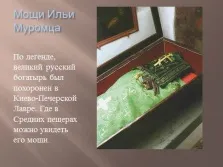 Презентація - українські билини