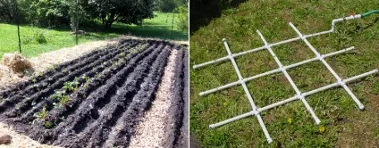 Прибуткова бізнес-ідея вирощування полуниці на продаж (продаж) Прибуткова бізнес-ідея вирощування полуниці на продаж