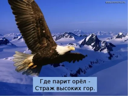 Презентація по темі що таке гори - презентація до уроку навколишній світ (таке) Презентація по темі що таке гори - презентація до уроку навколишній світ