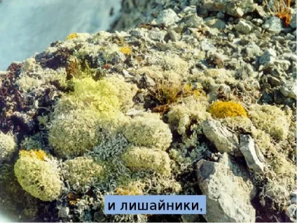 Презентація по темі що таке гори - презентація до уроку навколишній світ (презентація на тему) Презентація по темі що таке гори - презентація до уроку навколишній світ