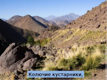 Презентація по темі що таке гори - презентація до уроку навколишній світ (powerpoint) Презентація по темі що таке гори - презентація до уроку навколишній світ