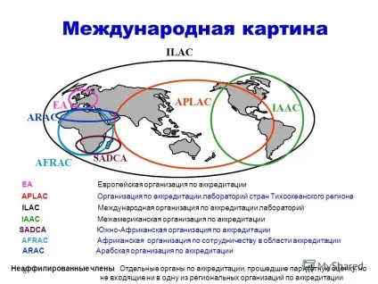 Презентація на тему міжнародна організація з акредитації лабораторій (ilac) міжнародний (організація) Презентація на тему міжнародна організація з акредитації лабораторій (ilac) міжнародний