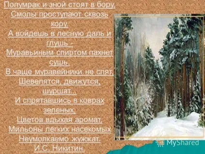 Презентація на тему ліс - природний комплекс деревних, чагарникових, трав'янистих та інших (презентація) Презентація на тему ліс - природний комплекс деревних, чагарникових, трав'янистих та інших