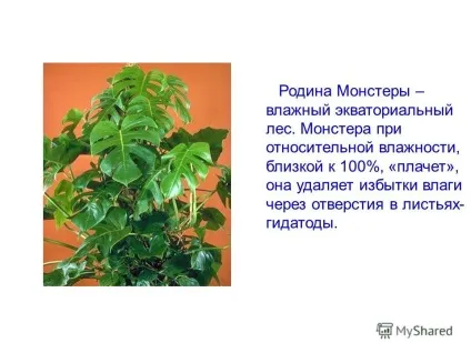 Презентація на тему називається випаровуванням яких чинників залежить процес випаровування який (тему) Презентація на тему називається випаровуванням яких чинників залежить процес випаровування який
